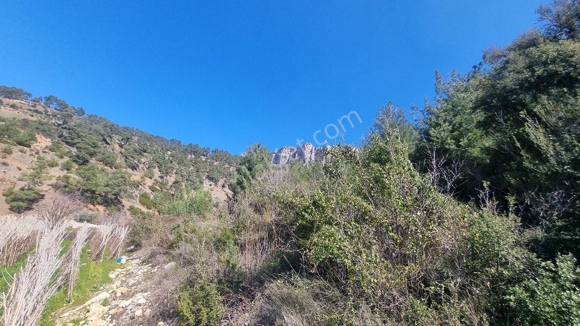 Erdemli Fakılı'da 8419 M2 Satılık Arazi - Görsel 7