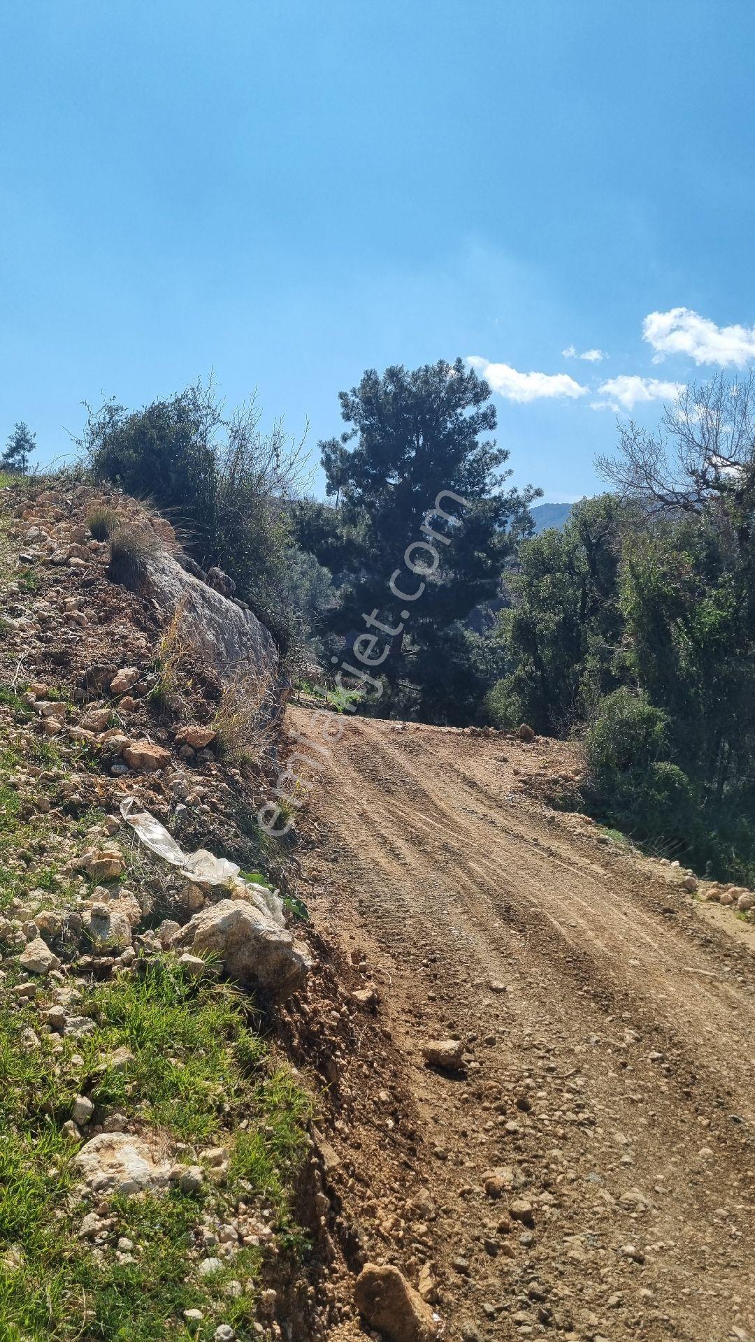 Erdemli Fakılı'da 8419 M2 Satılık Arazi - Görsel 10