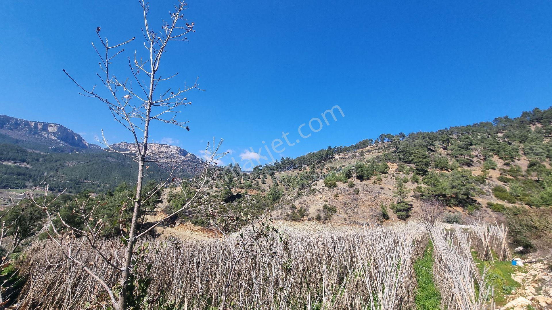 Erdemli Fakılı'da 8419 M2 Satılık Arazi - Görsel 6