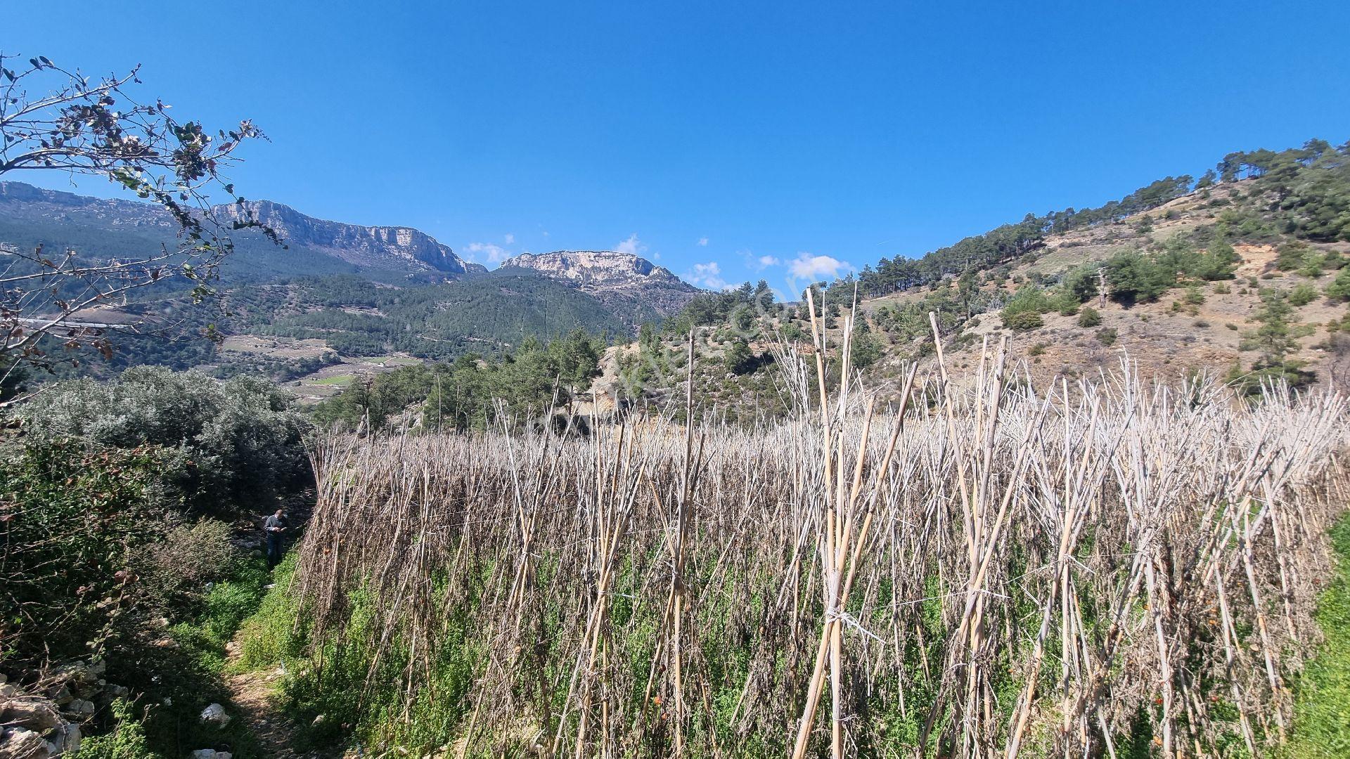 Erdemli Fakılı'da 8419 M2 Satılık Arazi