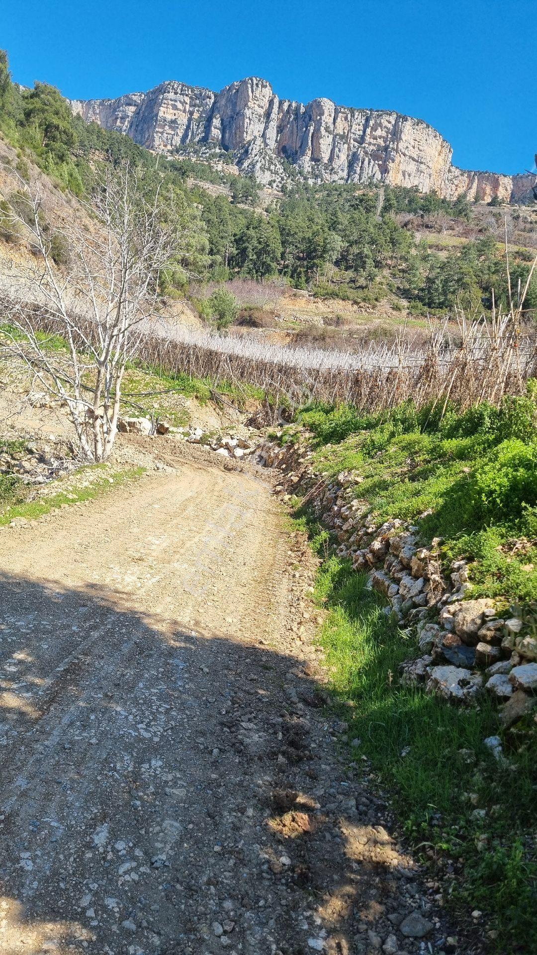 Erdemli Fakılı'da 8419 M2 Satılık Arazi - Görsel 8