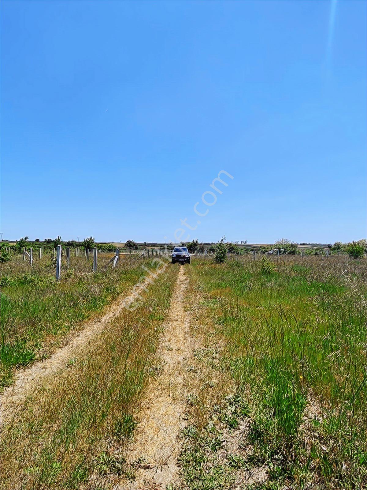 Tekirdağ Saray Sofular 350m2 Çap Muvakatnameli - Görsel 6