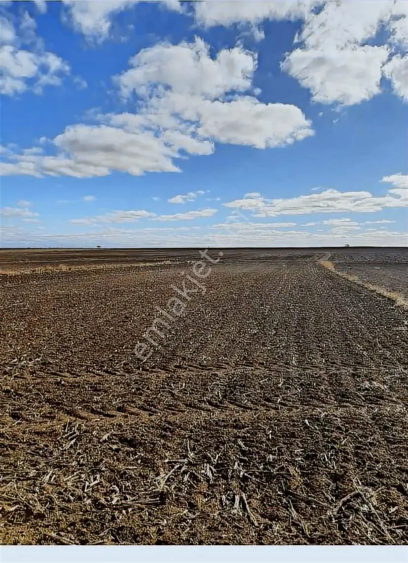 Tekirdağ Saray Sofular 350m2 Çap Muvakatnameli - Görsel 9