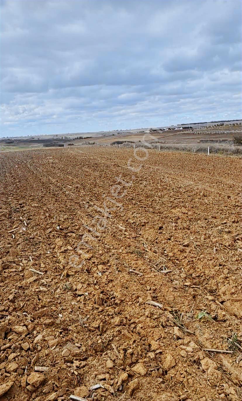 Tekirdağ Saray Sofular 350m2 Çap Muvakatnameli - Görsel 10