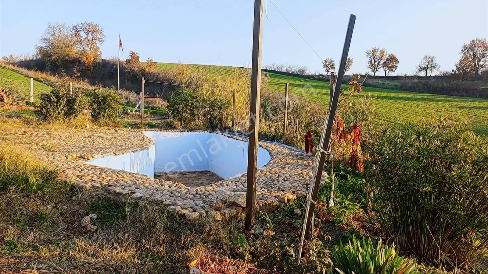 Edirne Merkez Büyükdöllükte Bahçeli Ev - Görsel 8