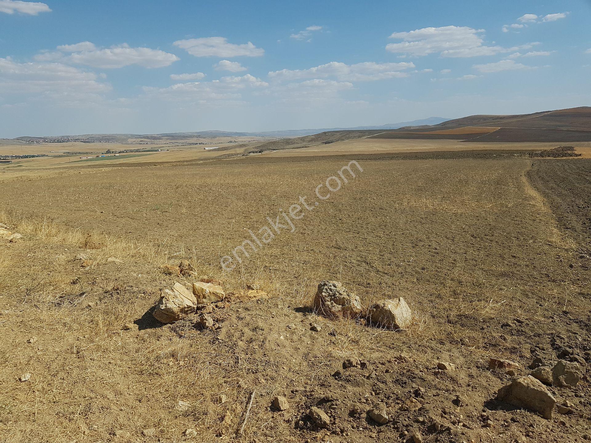 4316 M2 - Köşe Parsel - Araç Takası Olur - Görsel 9