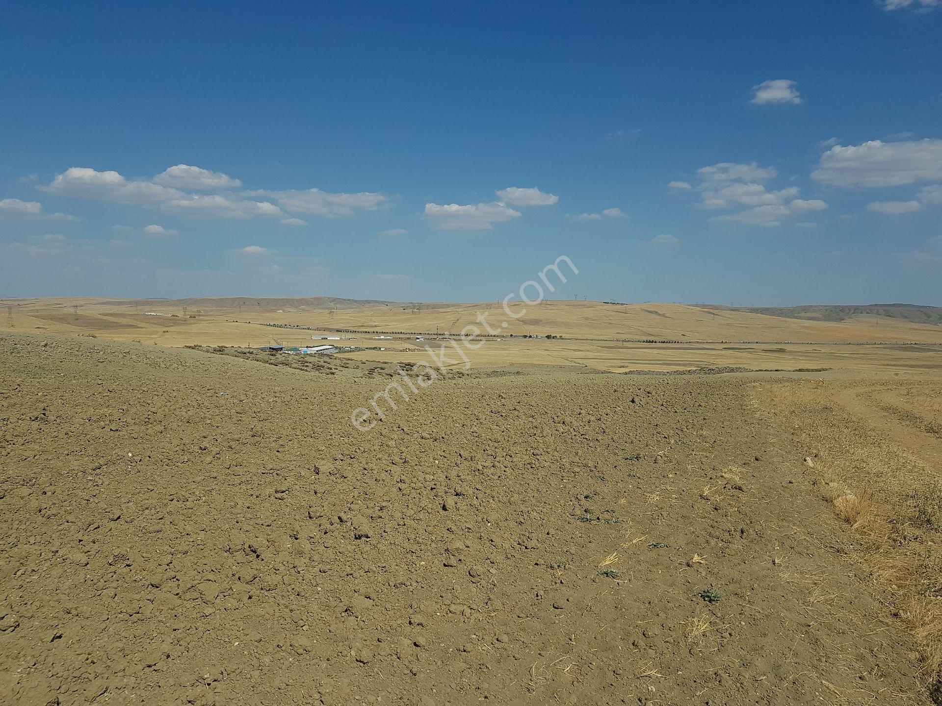 4316 M2 - Köşe Parsel - Araç Takası Olur - Görsel 12