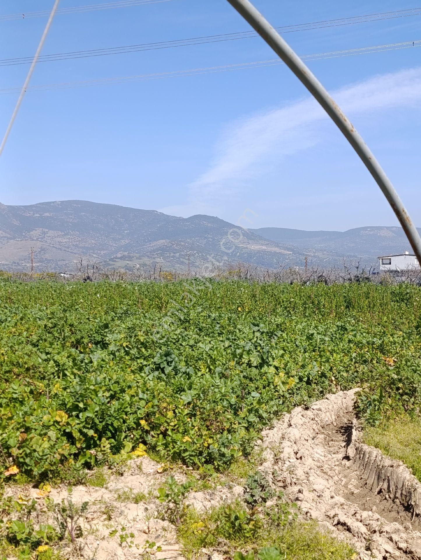 Emiralem Yayla Mah Satılık Müstakil Tapu Bahçe - Görsel 5