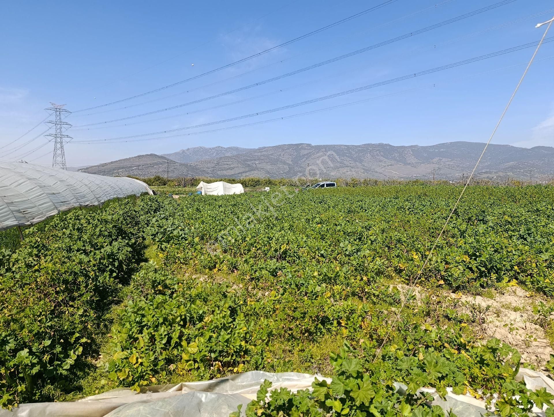 Emiralem Yayla Mah Satılık Müstakil Tapu Bahçe - Görsel 6