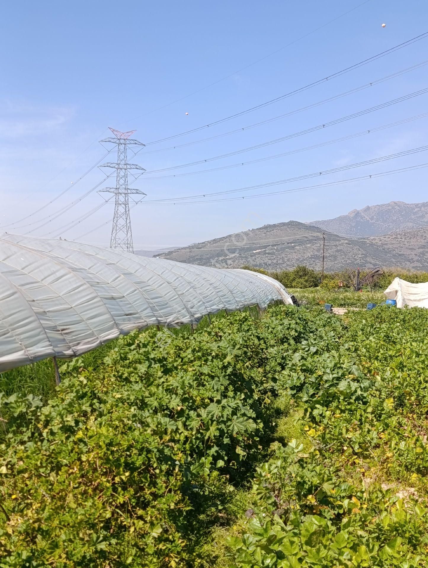 Emiralem Yayla Mah Satılık Müstakil Tapu Bahçe - Görsel 3