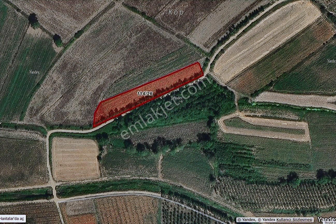 Ekşioğlu Gyd'den Hendek'te 6715 M2 Müstakil Tapulu Satılık Arazi - Görsel 5