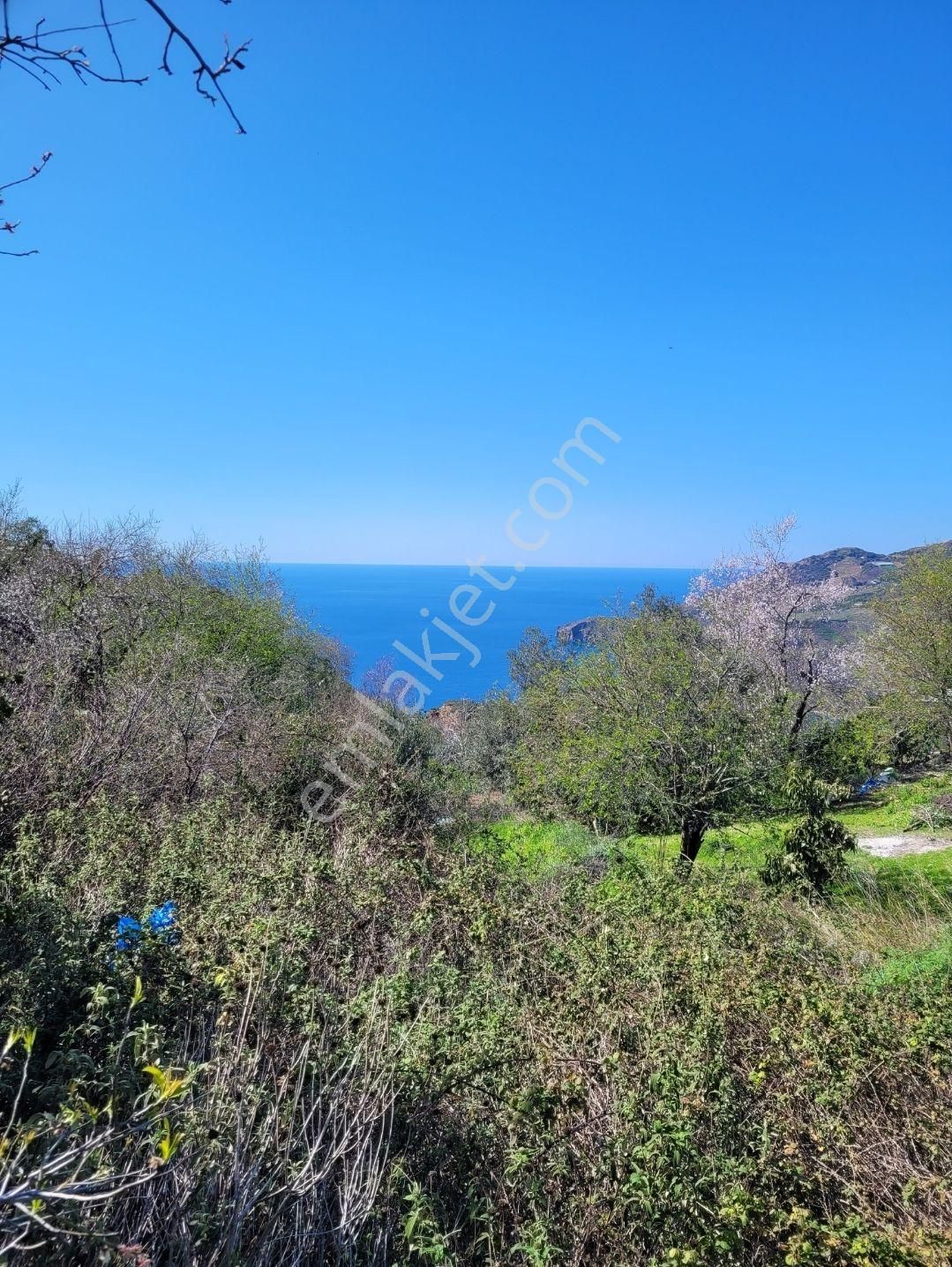 3134 M2- Full Deniz Manzaralı - Görsel 4