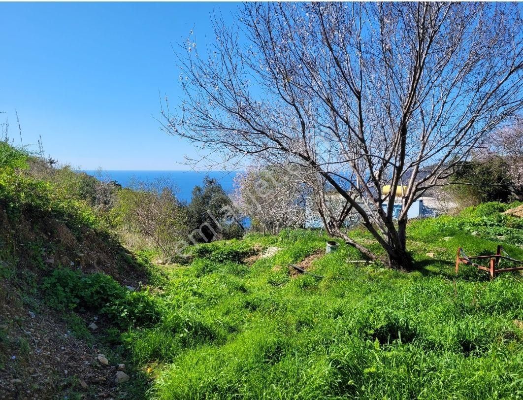 3134 M2- Full Deniz Manzaralı - Görsel 5