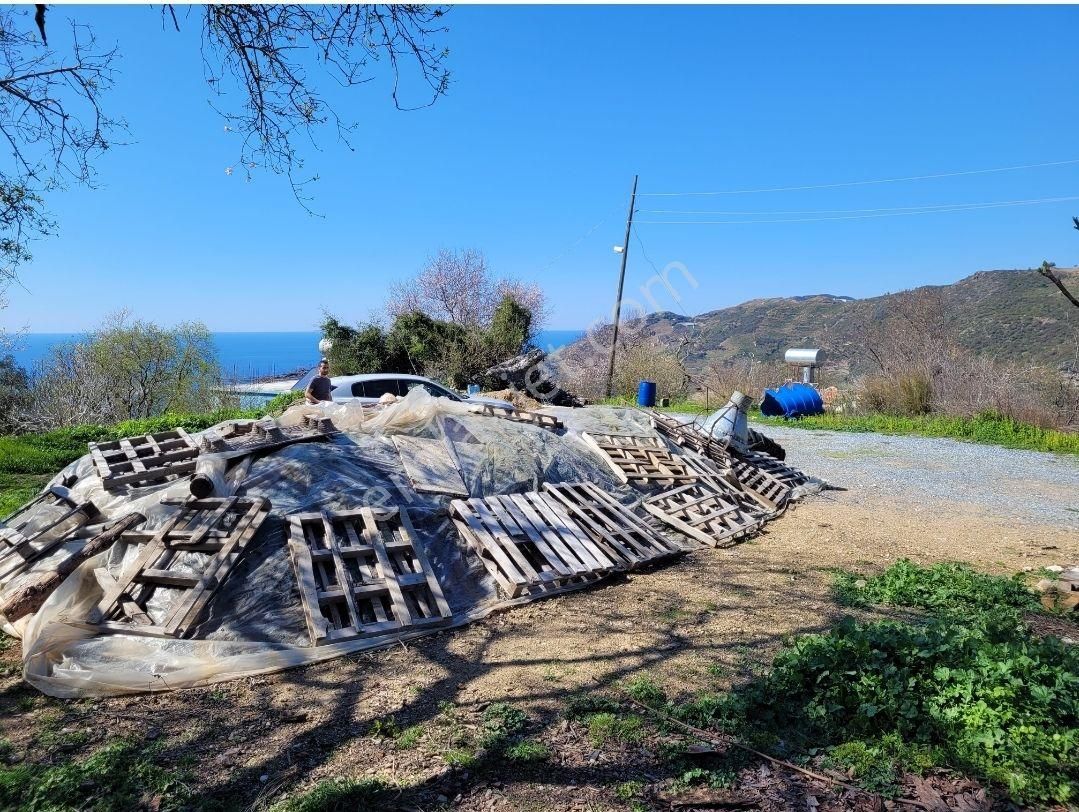 3134 M2- Full Deniz Manzaralı - Görsel 6