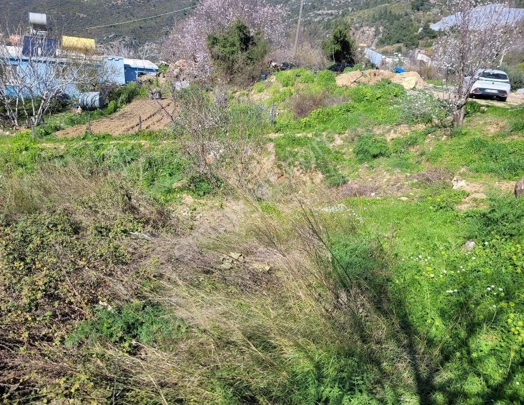 3134 M2- Full Deniz Manzaralı - Görsel 3