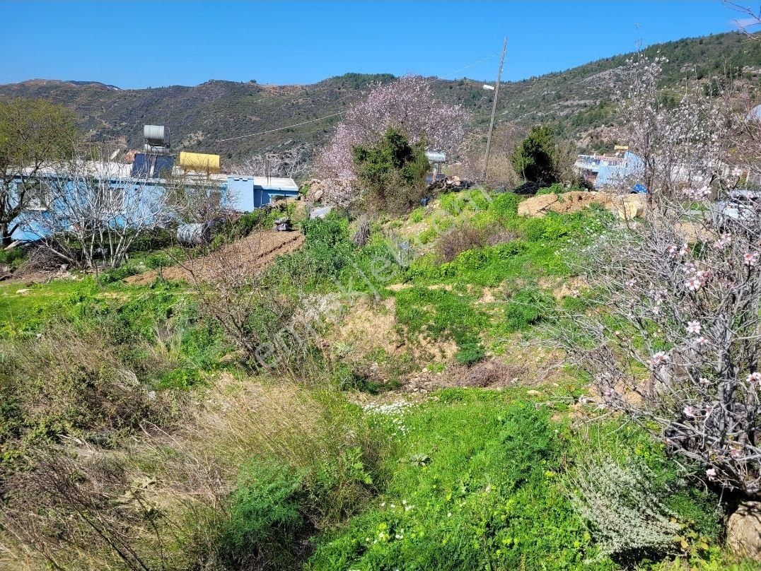 3134 M2- Full Deniz Manzaralı - Görsel 2