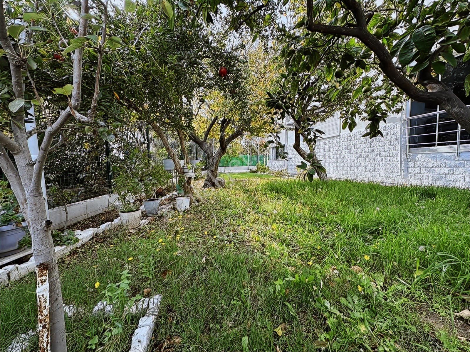 Qzen' Den Denize Yürüme Mesafesinde Kış Bahçeli Yazlık - Görsel 14