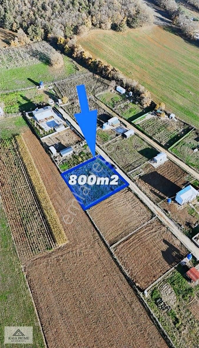 Kestel Aksu Da 800m2 Tapulu Hobi Bahçesi - Görsel 18