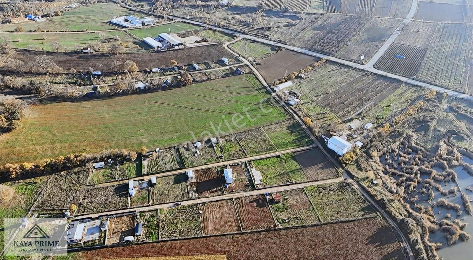 Kestel Aksu Da 800m2 Tapulu Hobi Bahçesi - Görsel 4