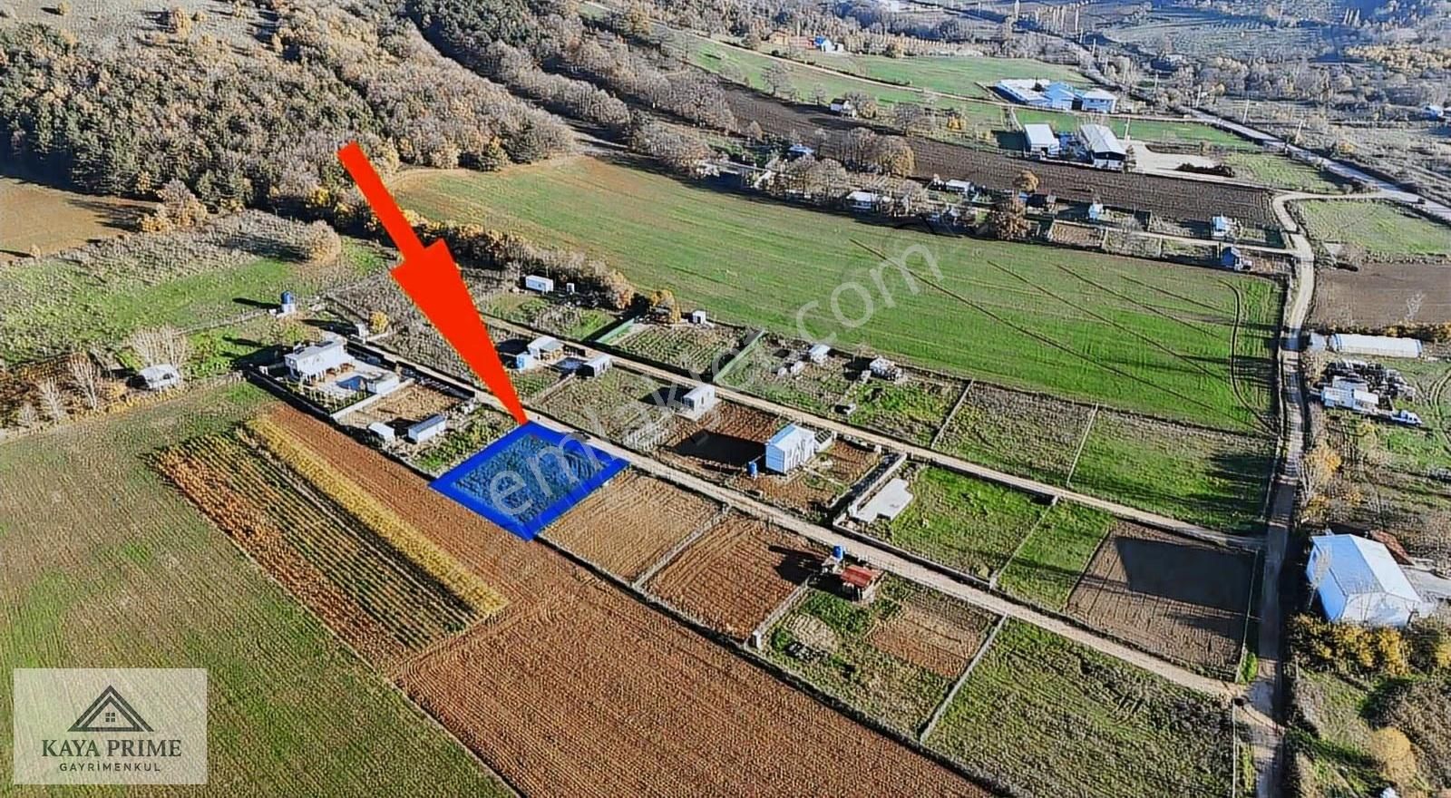 Kestel Aksu Da 800m2 Tapulu Hobi Bahçesi - Görsel 12