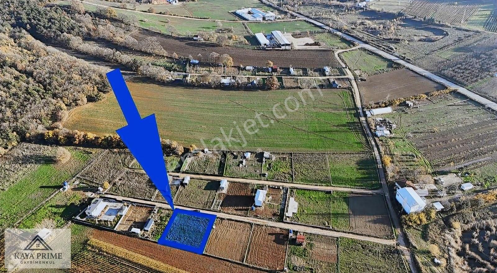 Kestel Aksu Da 800m2 Tapulu Hobi Bahçesi - Görsel 5