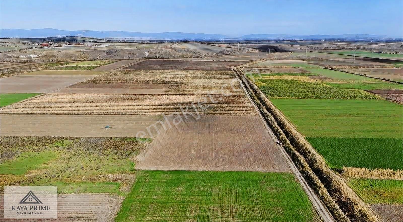 Kaya Prime Dan Kemalpaşada Satılık 5.500 M2 Tarla - Görsel 8