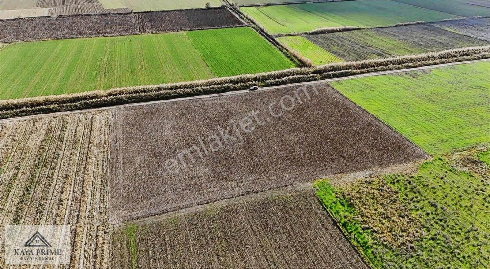 Kaya Prime Dan Kemalpaşada Satılık 5.500 M2 Tarla - Görsel 6