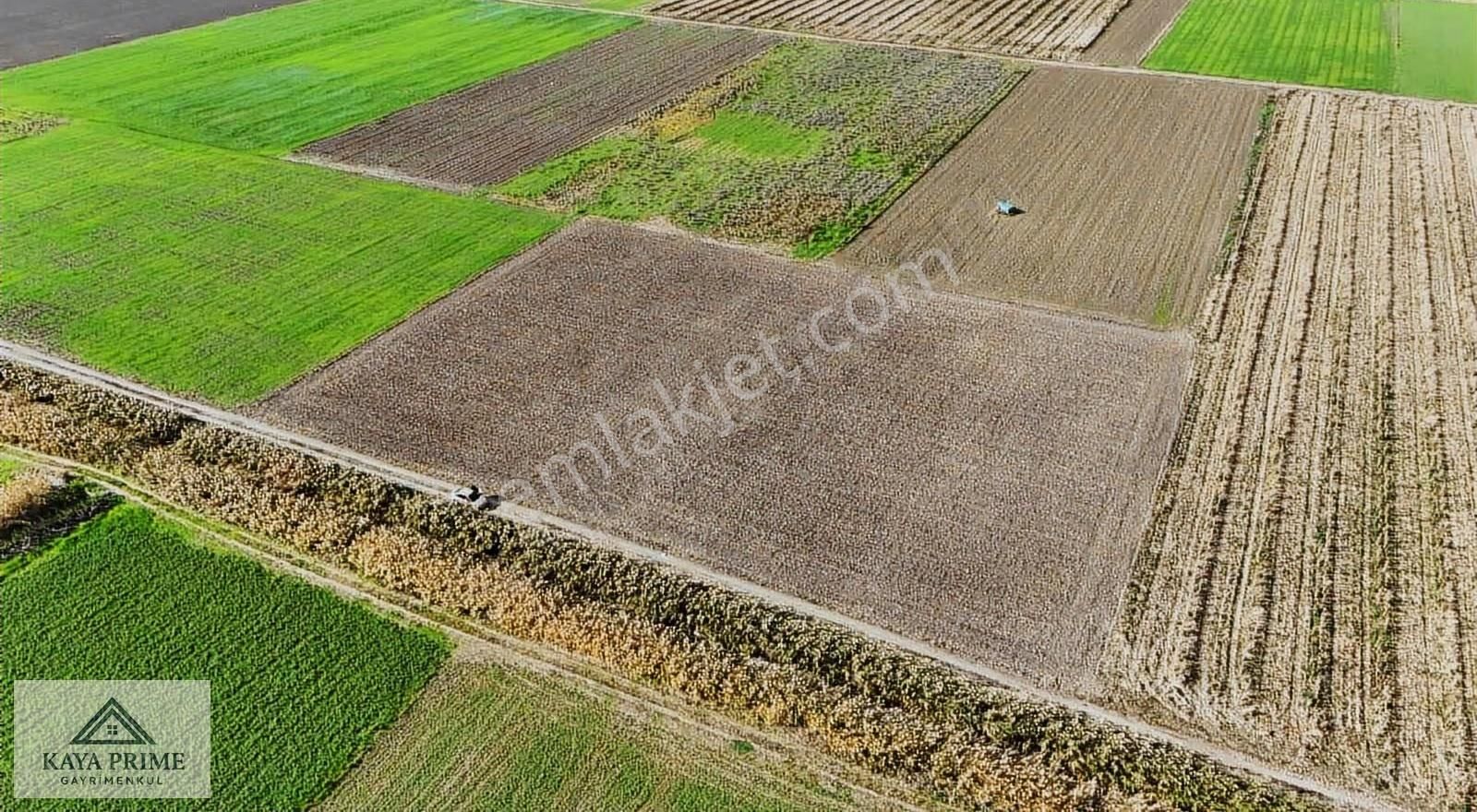 Kaya Prime Dan Kemalpaşada Satılık 5.500 M2 Tarla - Görsel 9