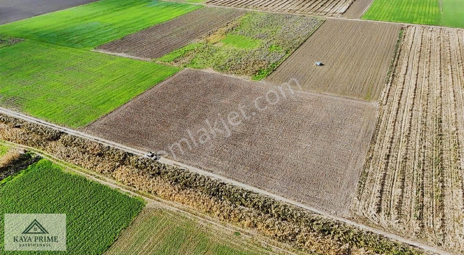 Kaya Prime Dan Kemalpaşada Satılık 5.500 M2 Tarla - Görsel 3