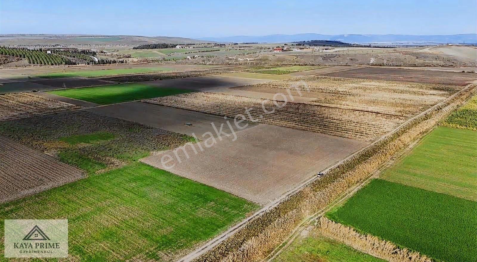 Kaya Prime Dan Kemalpaşada Satılık 5.500 M2 Tarla - Görsel 13