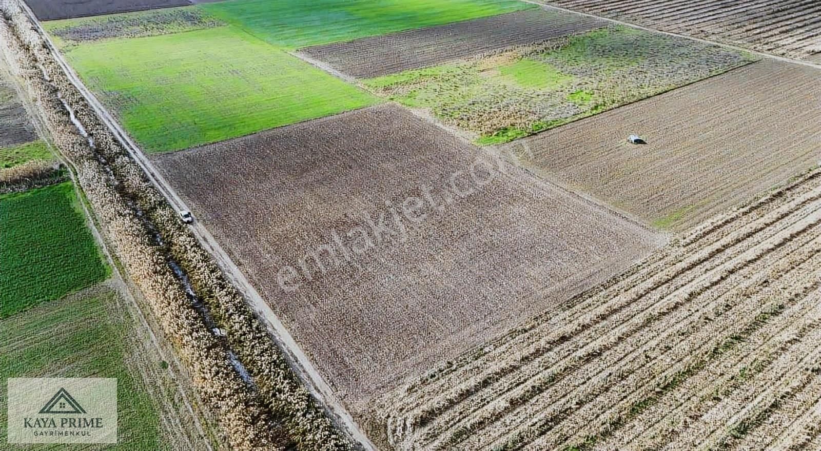 Kaya Prime Dan Kemalpaşada Satılık 5.500 M2 Tarla - Görsel 5