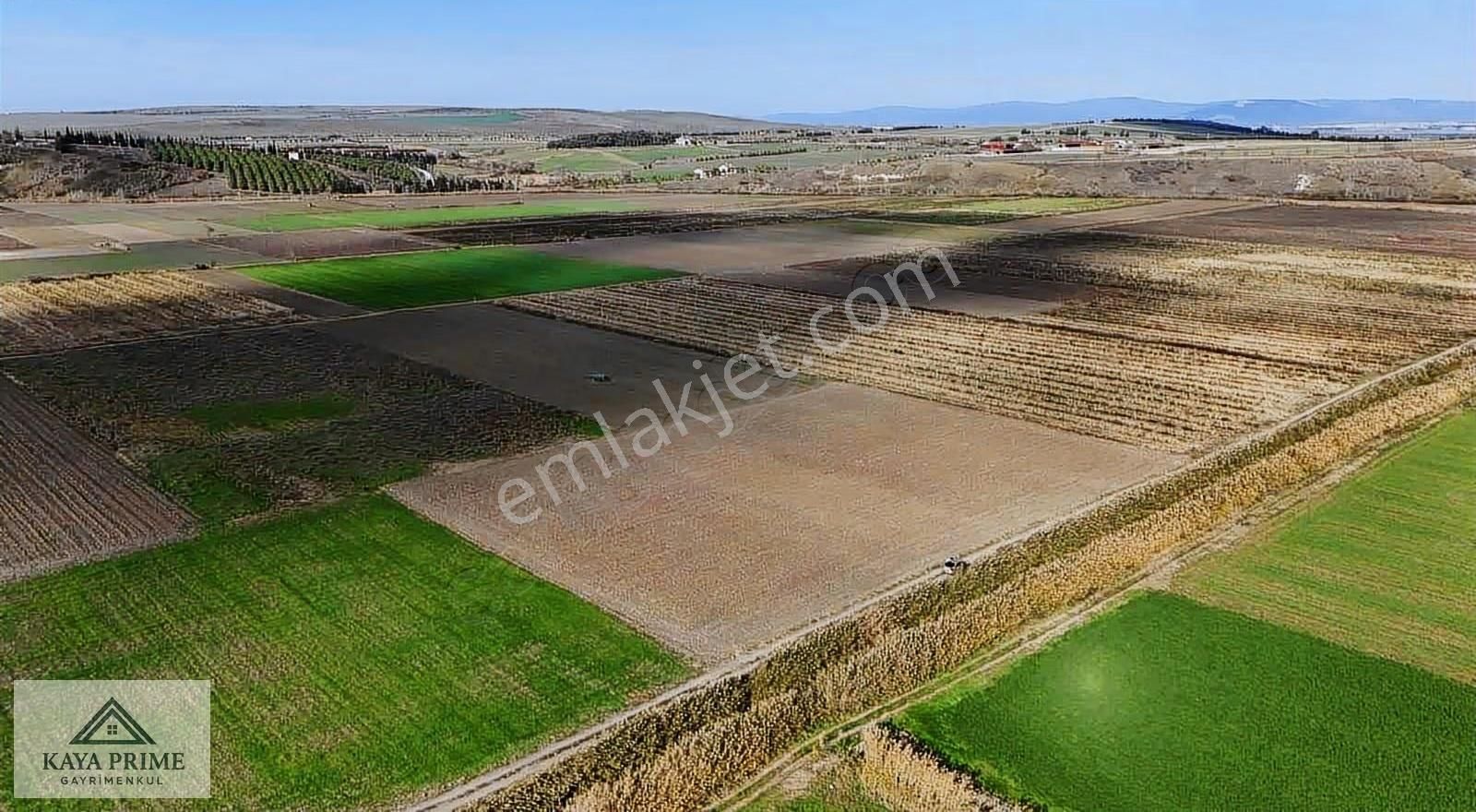 Kaya Prime Dan Kemalpaşada Satılık 5.500 M2 Tarla - Görsel 4
