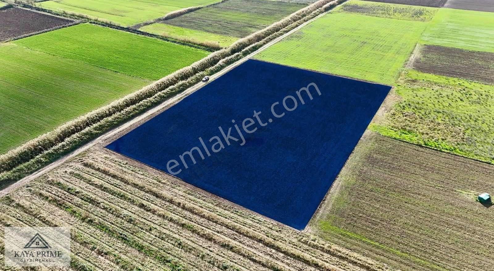 Kaya Prime Dan Kemalpaşada Satılık 5.500 M2 Tarla