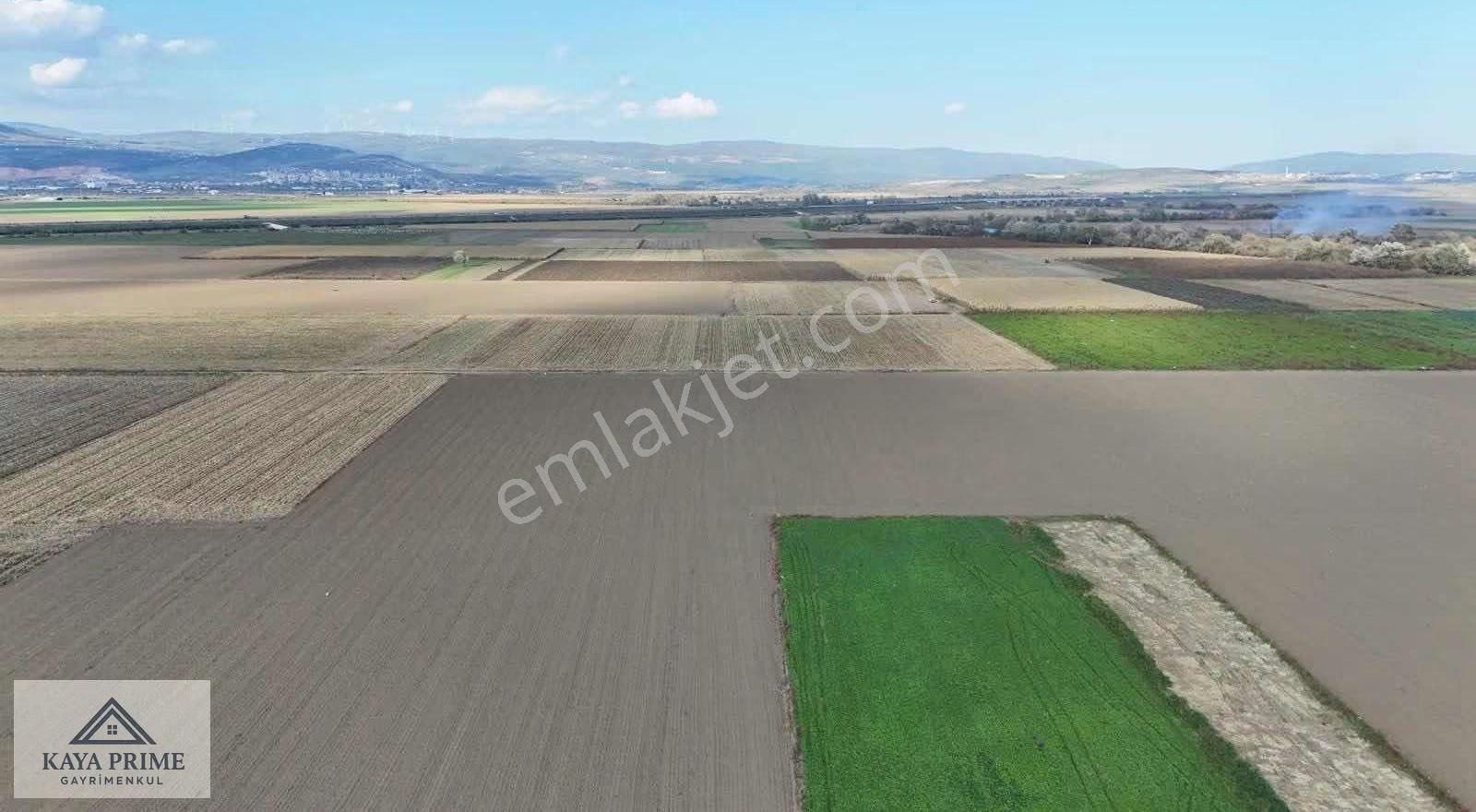 Kaya Prime Dan Karacabey De 5.337 M2 Satılık Tarla - Görsel 6
