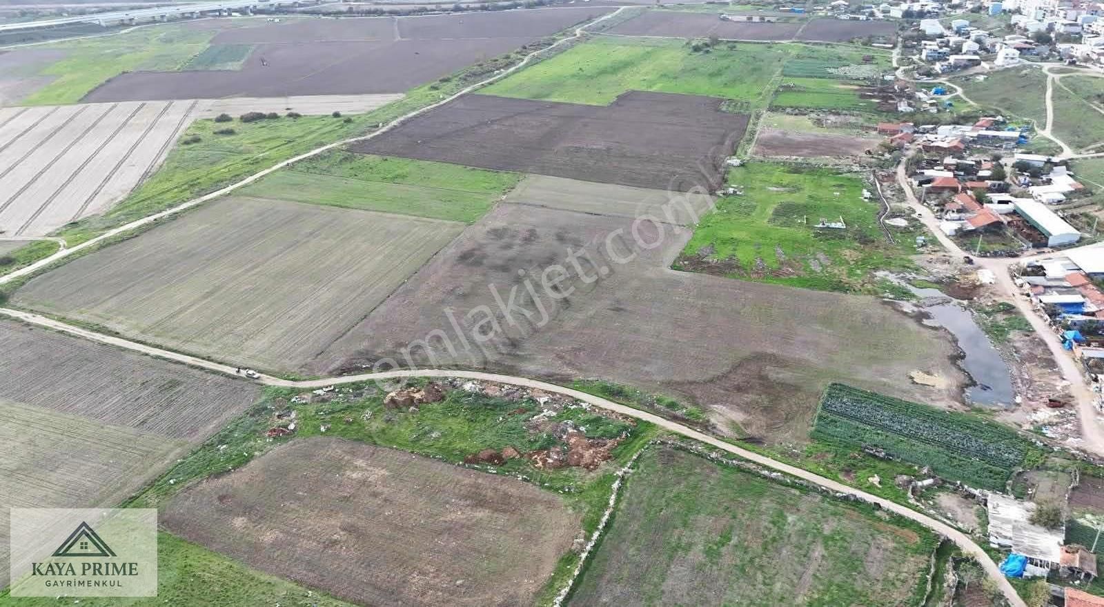 Karacabey De İmara Sınır 5.500 M2 Satılık Tarla - Görsel 13