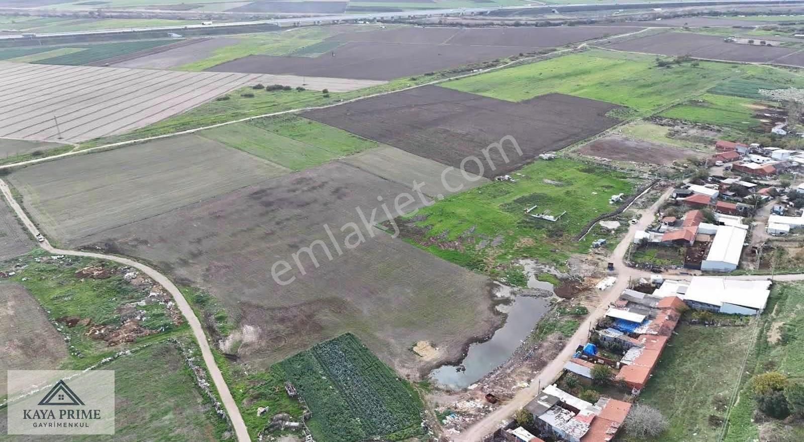 Karacabey De İmara Sınır 5.500 M2 Satılık Tarla - Görsel 4