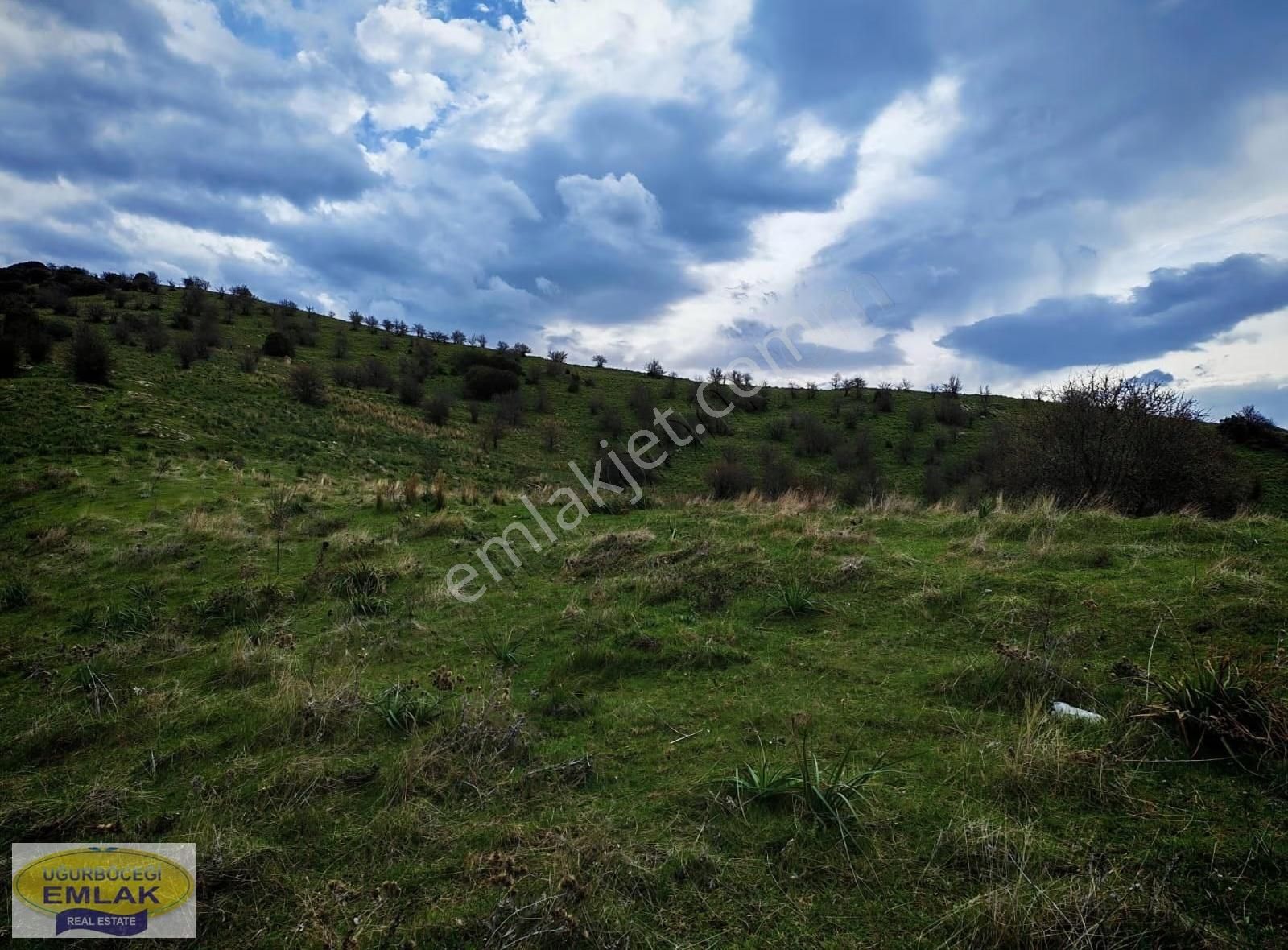 İzmir Ödemiş Kaymakçı'da 10 Dönüm Köy Civarı Tarla - Görsel 6