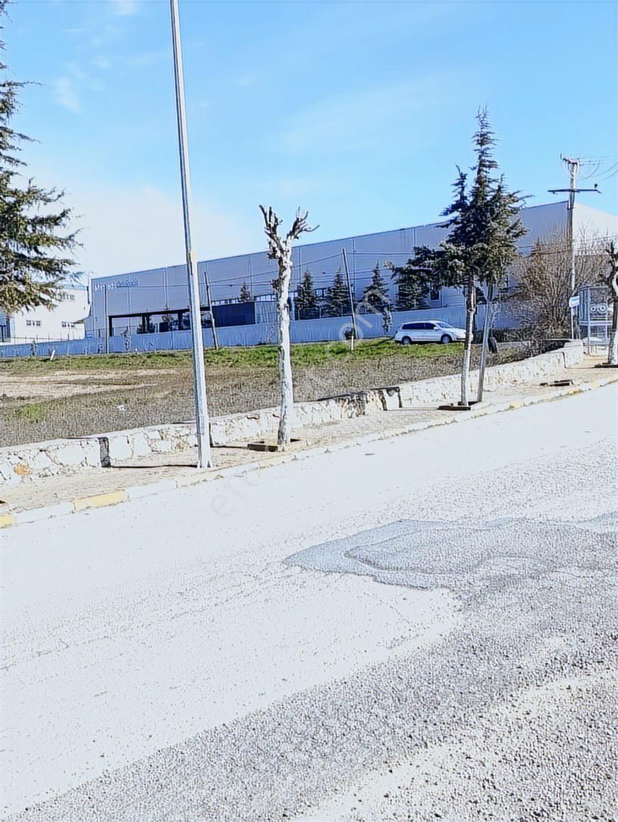 Köyün Dibinde Acil Satılık - Görsel 6