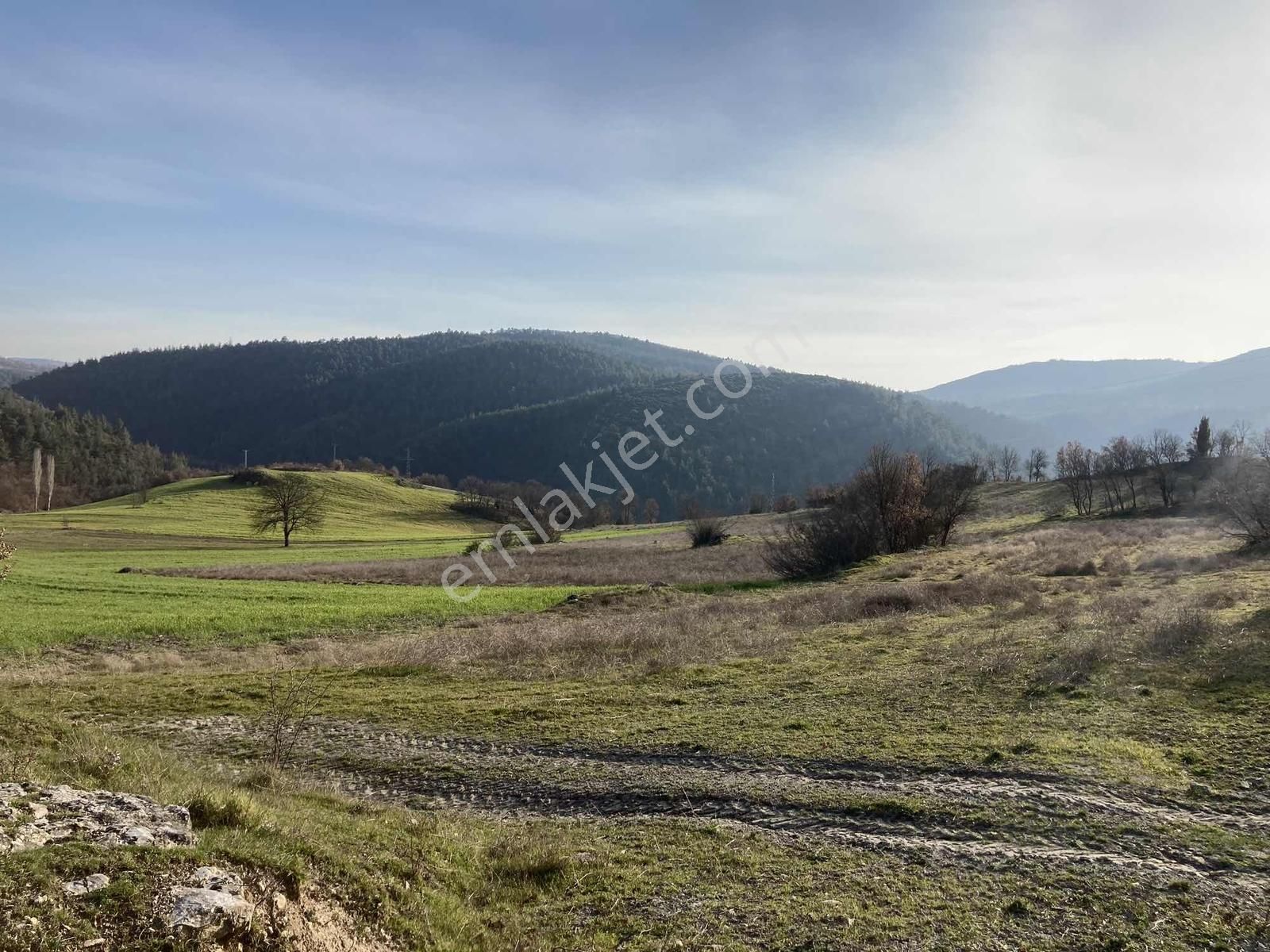 Beynil'den Orhaneli'de Satılık 20 Dönüm Arazi - Görsel 8
