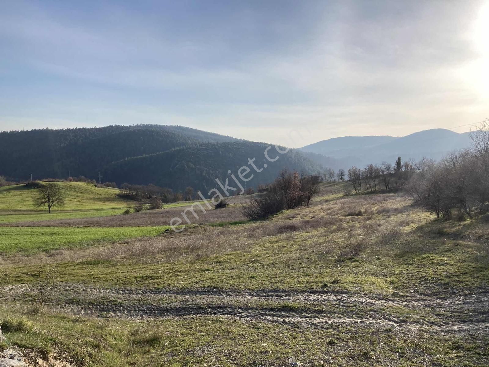 Beynil'den Orhaneli'de Satılık 20 Dönüm Arazi - Görsel 9