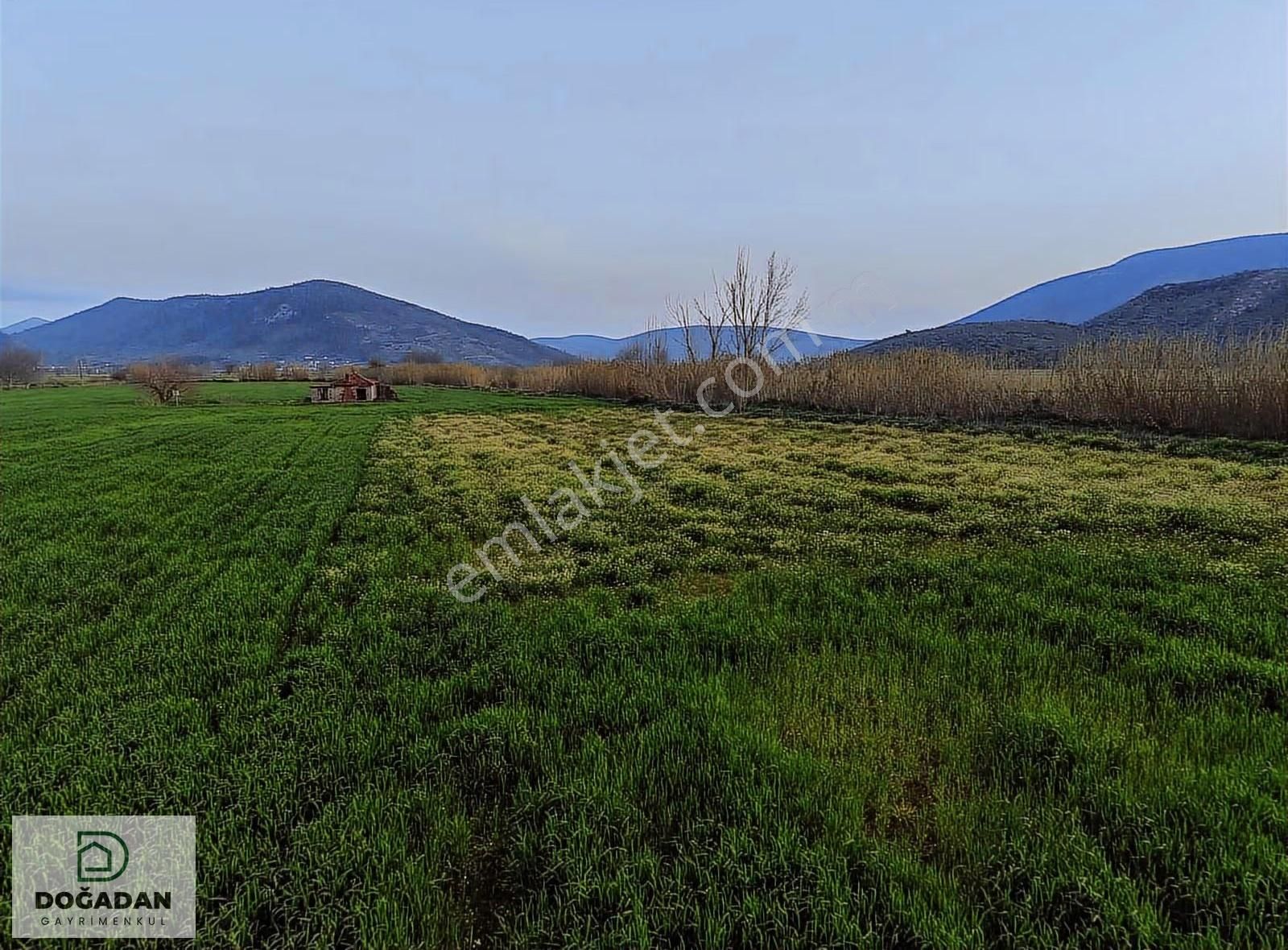 Doğadan Selimiye Merkezde Asfalta Cephe Yapı Koymaya Uygun Arazi - Görsel 20