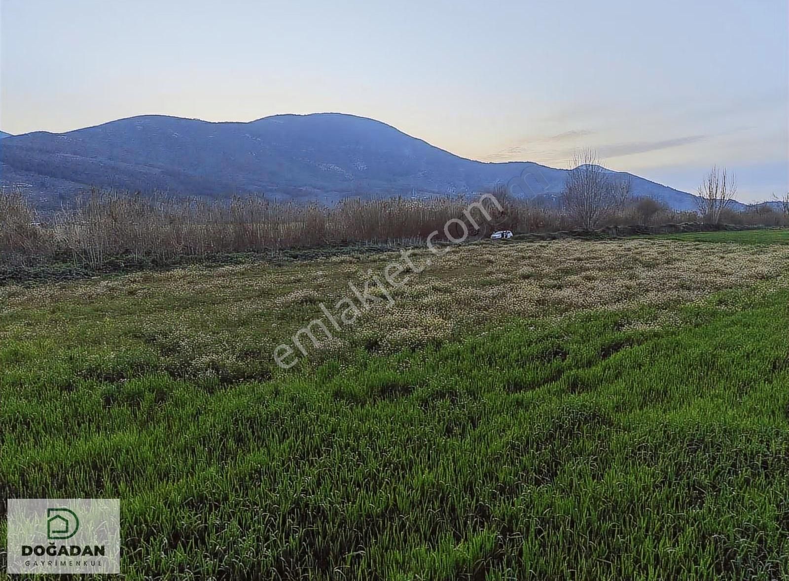 Doğadan Selimiye Merkezde Asfalta Cephe Yapı Koymaya Uygun Arazi - Görsel 22