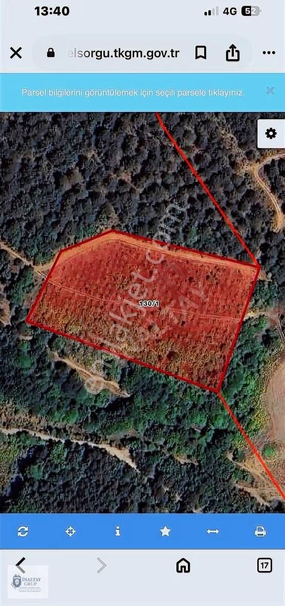 Sakarya Geyve İhsaniye'de 9 Dönüm Satılık Fındıklık