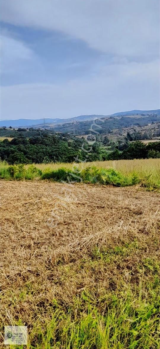 Kandıra Topluca'da Satılık 918m² Kadastro Yollu Tarla - Görsel 7