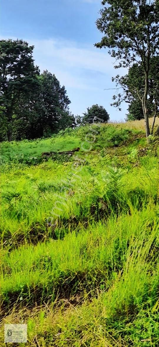 Kandıra Topluca'da Satılık 918m² Kadastro Yollu Tarla - Görsel 12