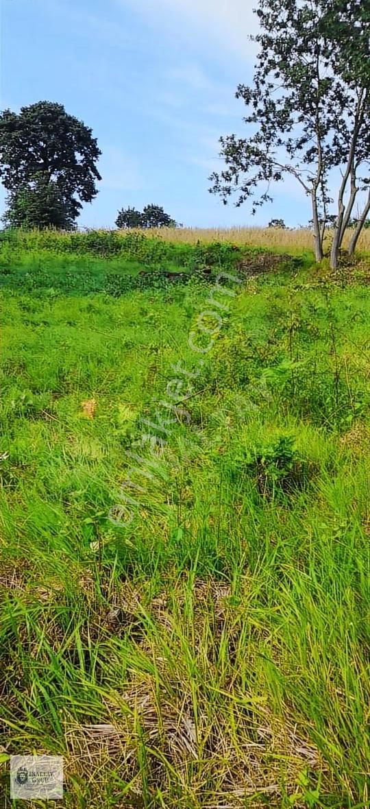 Kandıra Topluca'da Satılık 918m² Kadastro Yollu Tarla - Görsel 2