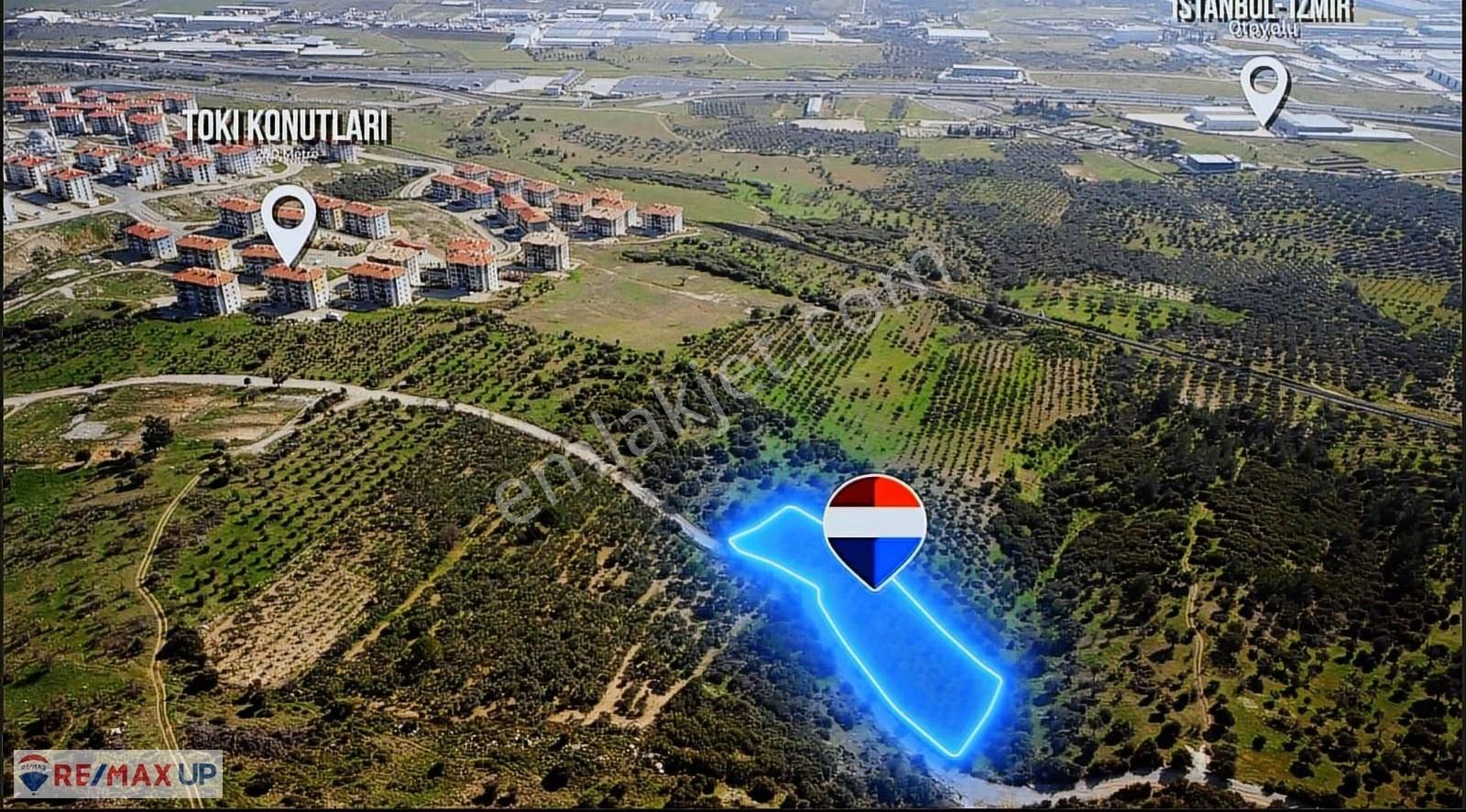 Akalan'da Tek Tapu 4.850 M² Emsalsiz Konumda Zeytinlik - Görsel 5