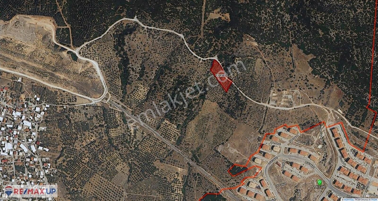 Akalan'da Tek Tapu 4.850 M² Emsalsiz Konumda Zeytinlik - Görsel 4