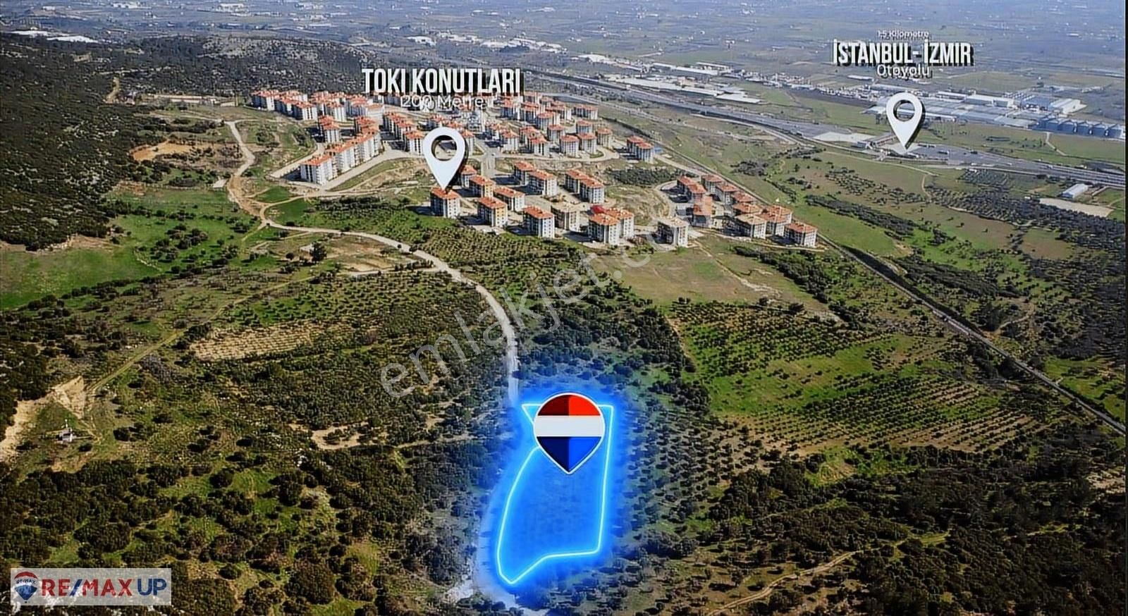 Akalan'da Tek Tapu 4.850 M² Emsalsiz Konumda Zeytinlik