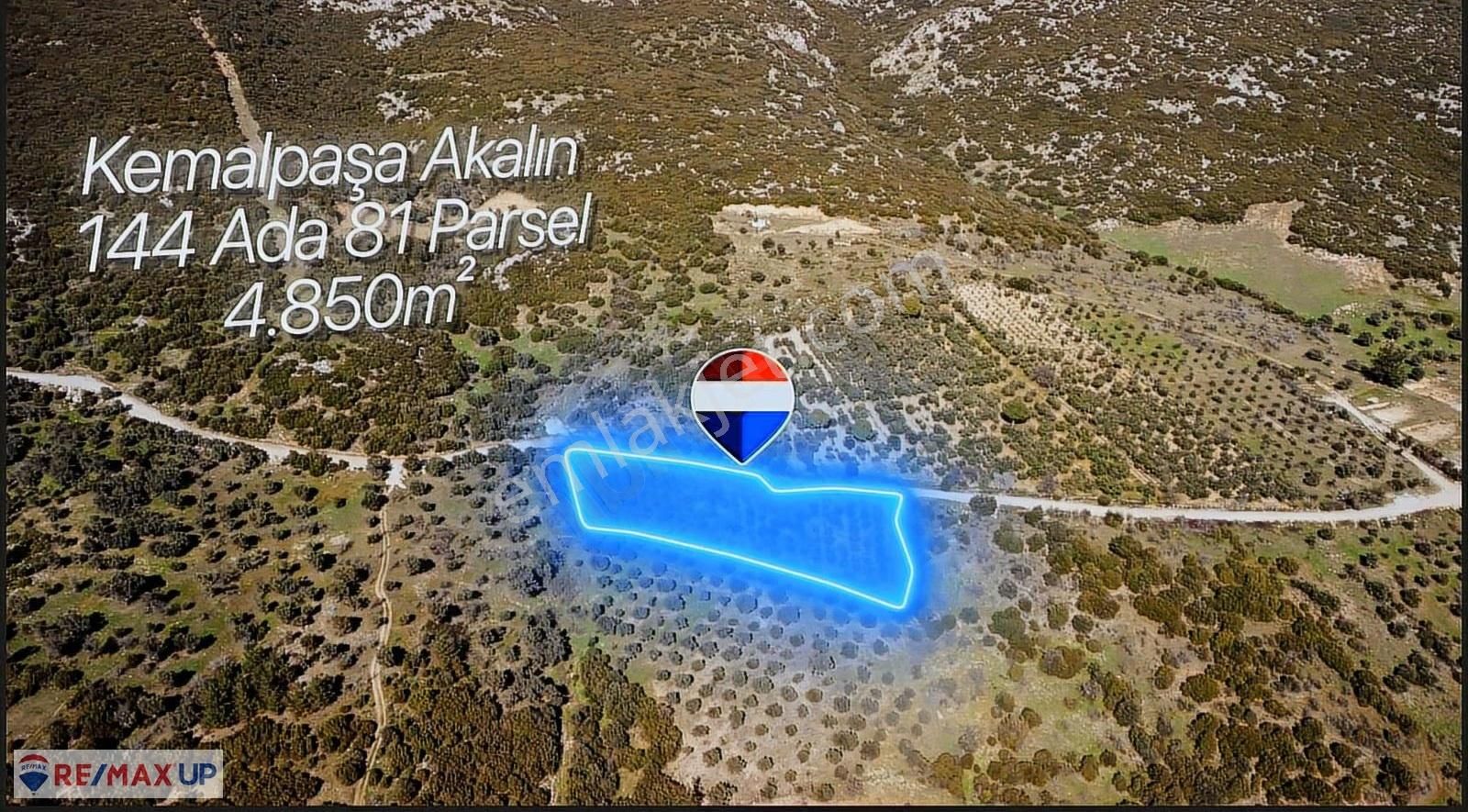 Akalan'da Tek Tapu 4.850 M² Emsalsiz Konumda Zeytinlik - Görsel 6